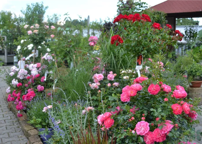 1A Garten Hauner Ihr Gartencenter aus Regensburg