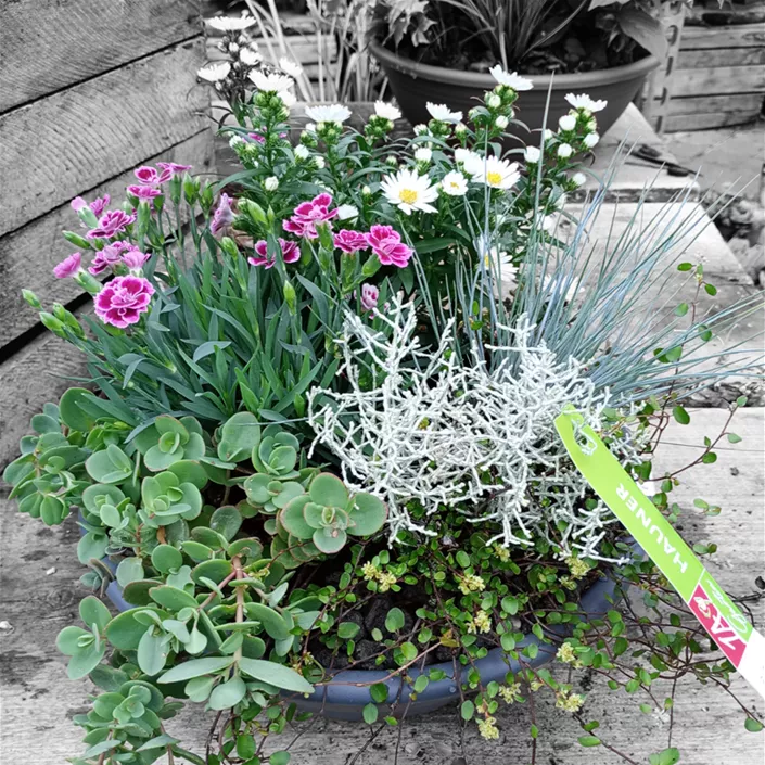 1A Garten Hauner Ihr Gartencenter aus Regensburg