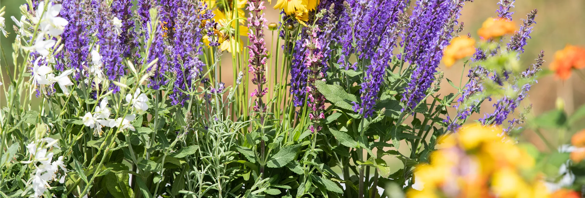 1A Garten Hauner Ihr Gartencenter aus Regensburg