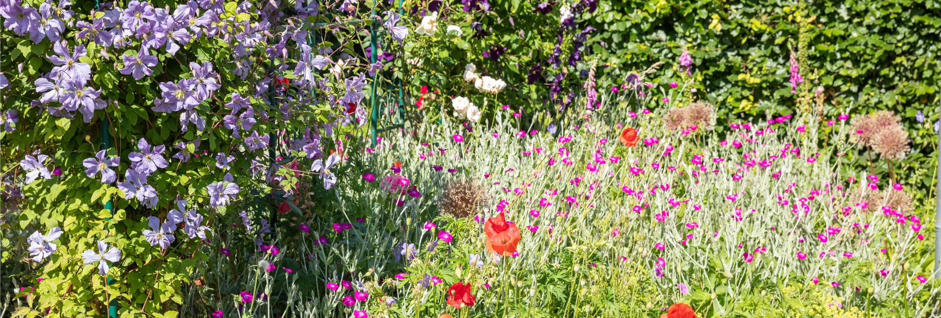 1A Garten Hauner Ihr Gartencenter aus Regensburg