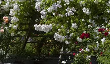 1A Garten Hauner