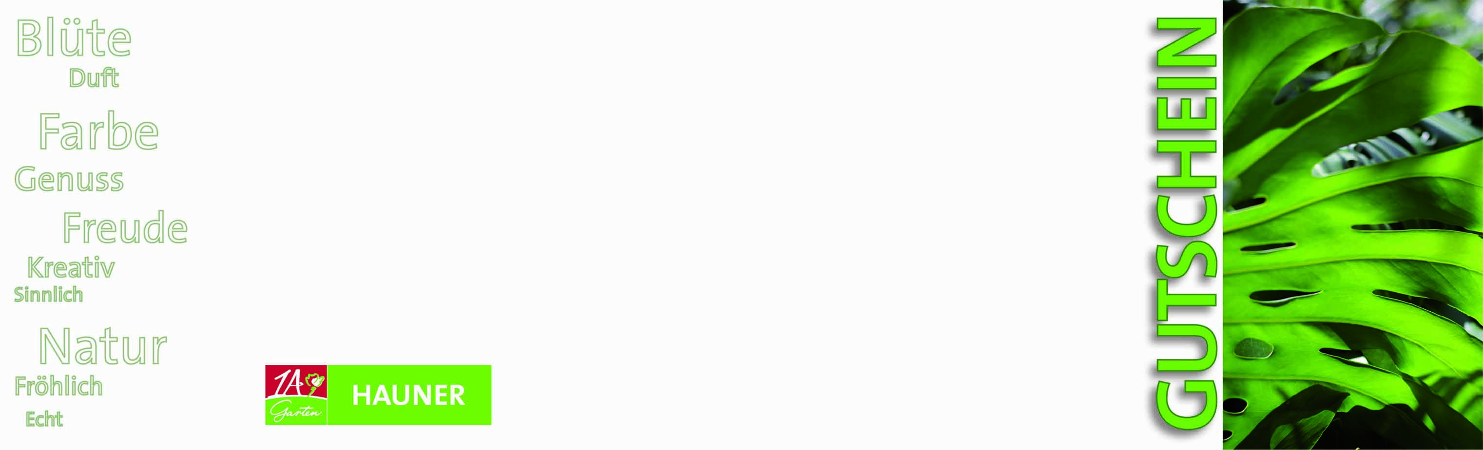 Gutschein asymetrisch Monstera Endformat offen 340x99mm(346x105mm) Pfade.jpg