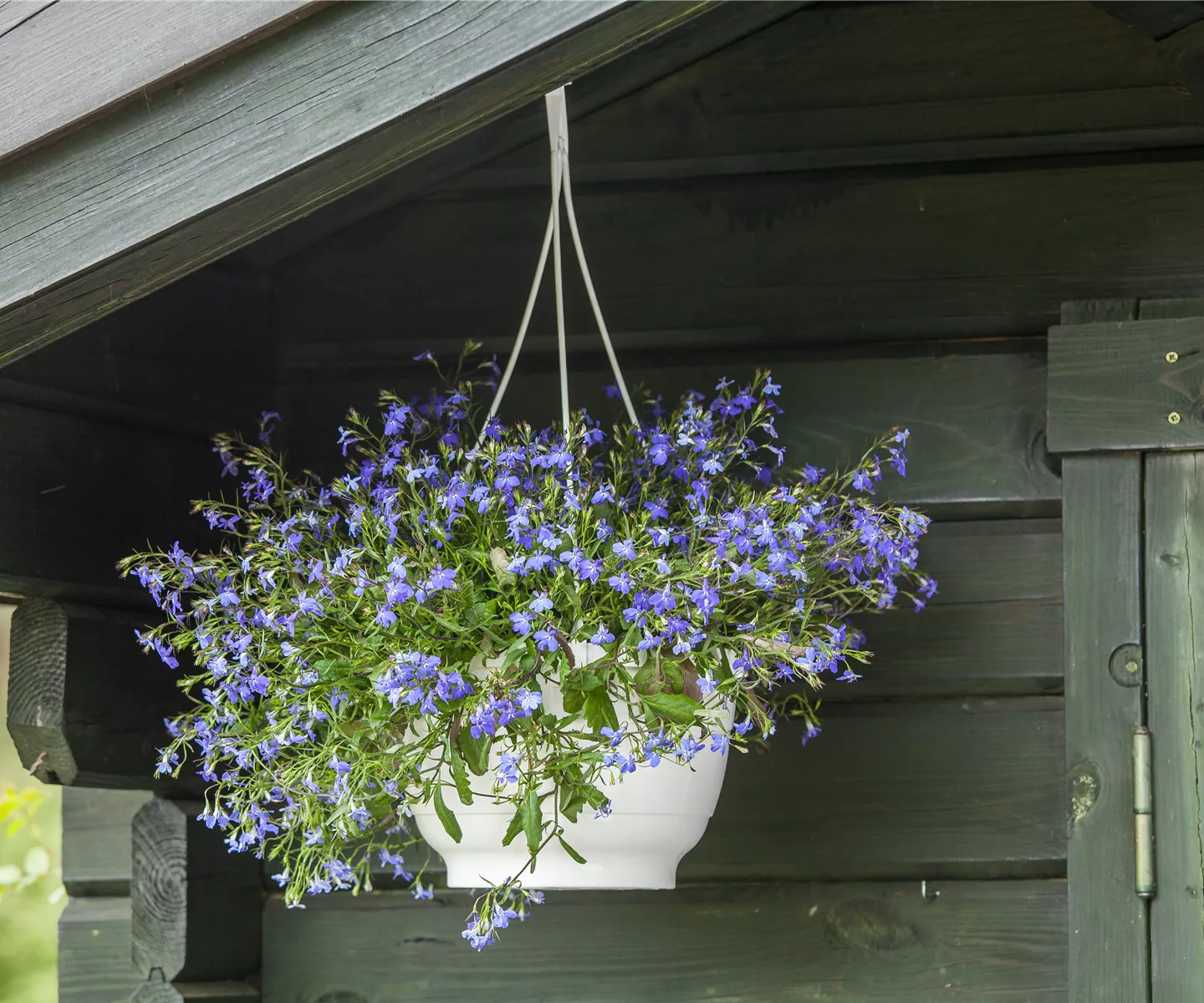 Einen Fahrradschuppen selbst bauen