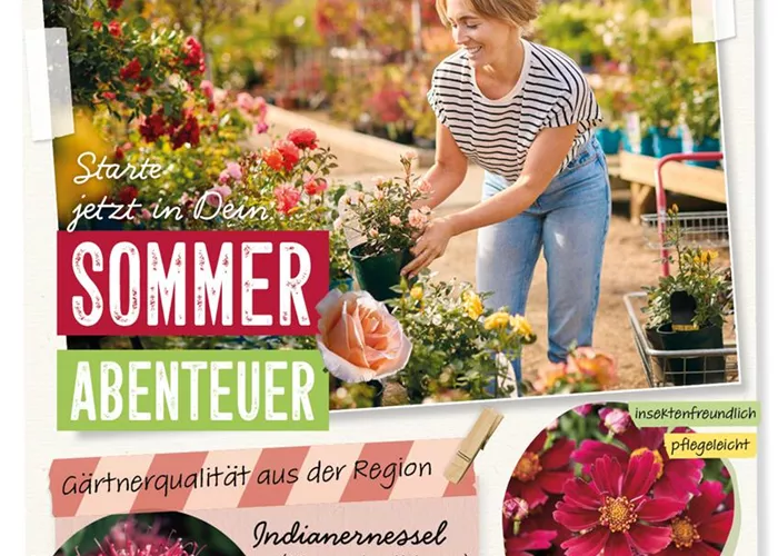 Starte jetzt in Dein Sommerabenteuer- gültig von 30.5.-7.6.25 und solange Vorrat reicht