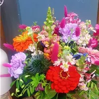 IMG_20250722_124934.jpg