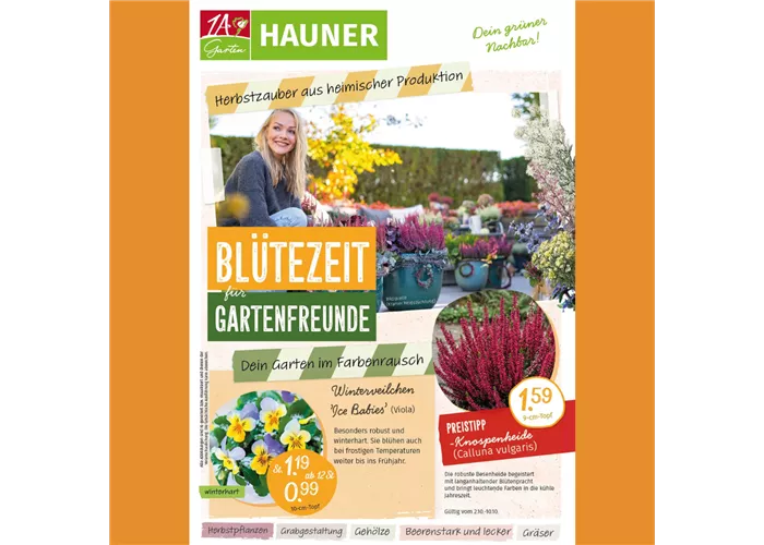 Herbstbeilage