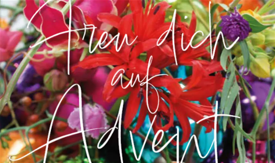 Screenshot 2025-11-04 101638.png Screenshot 2025-11-04 101638.png