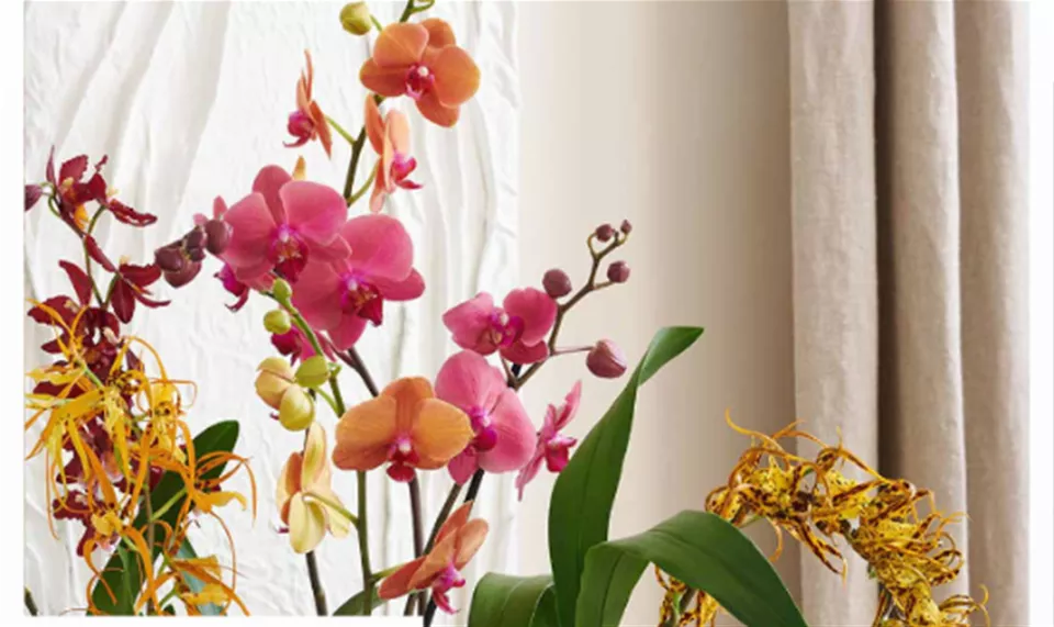 Screenshot 2026-01-07 105920.png