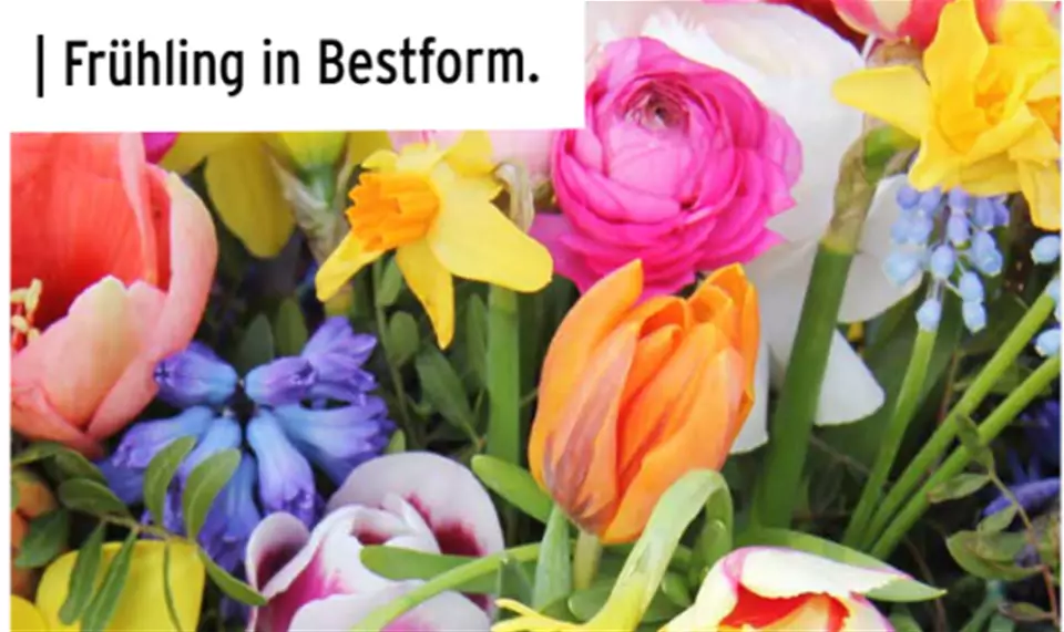 Screenshot 2026-03-16 093712.png