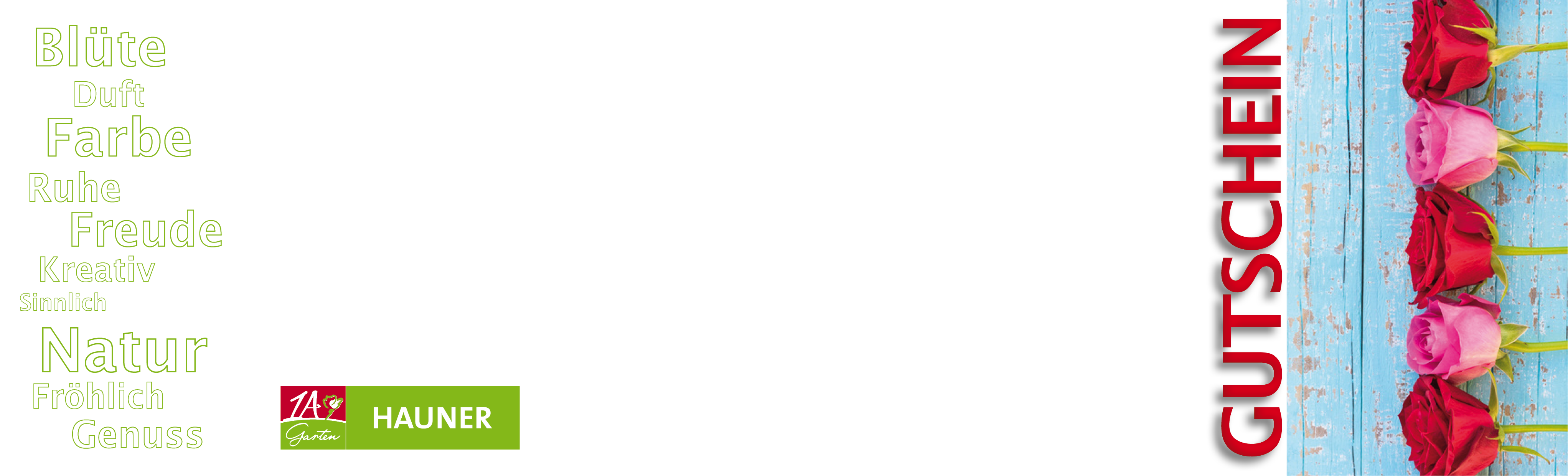 Gutschein asymetrisch Rosen vor blauem Holz Endformat offen 340x99mm(346x105mm) Pfade_hohe qualität.png