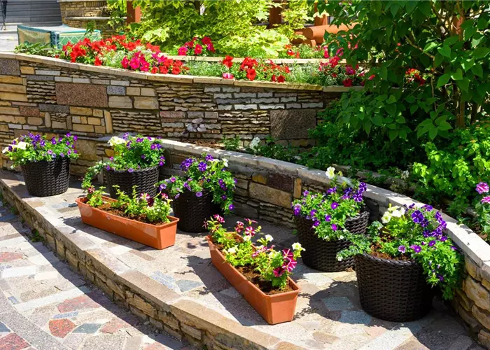 Pflegetipp des Monats