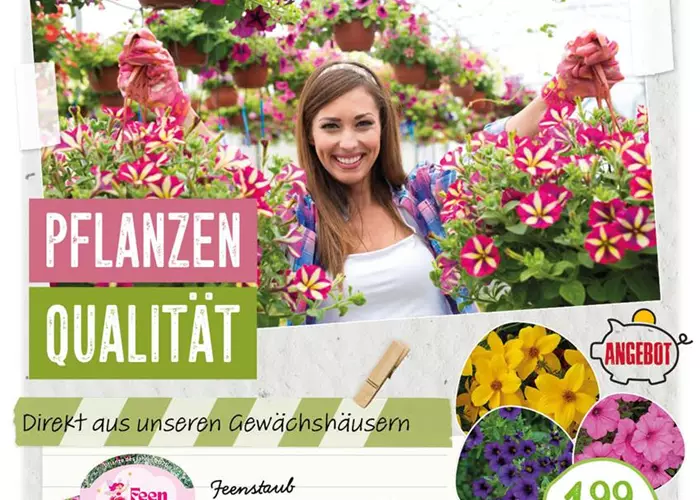 Beet und Balkon- Pflanzenqualität direkt aus unseren Gewächshäusern