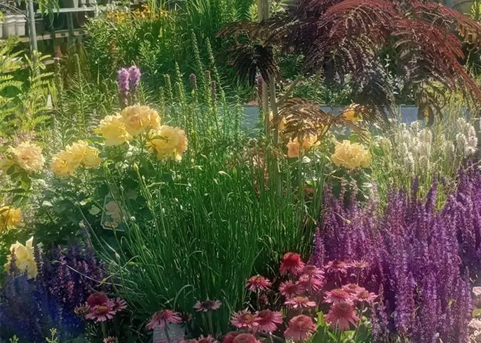 IMG_20260702_094815_HDR~3.jpg