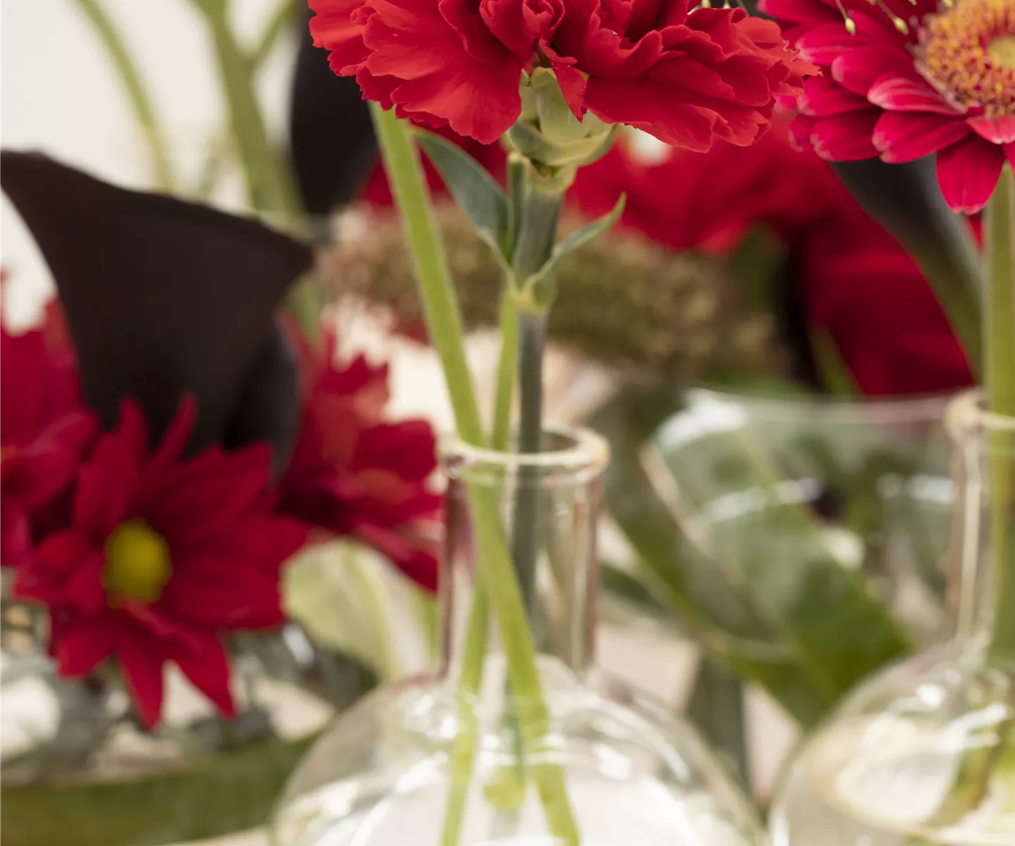 Schnittblumen - was hilft wirklich?